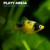 PLATY ABEJA