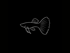 GUPPYS INTERNACIÓN