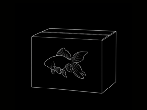 CAJA GOLDFISH INTERNACIÓN