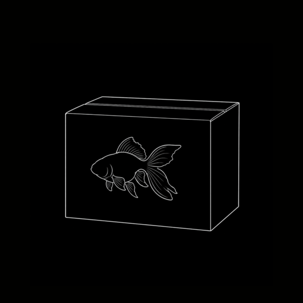 CAJA GOLDFISH INTERNACIÓN