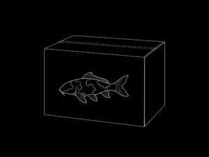 CAJA KOI INTERNACIÓN