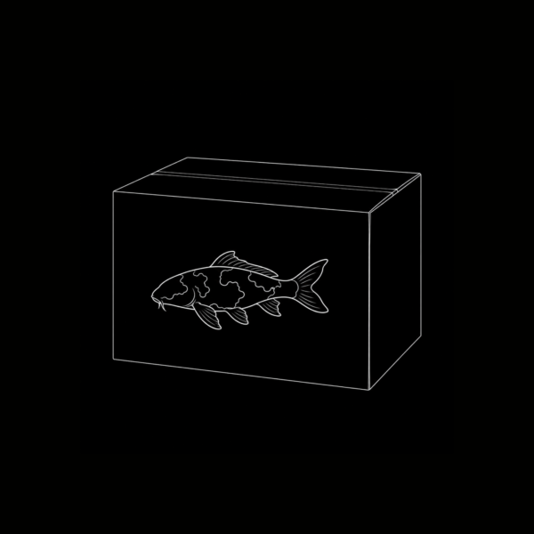CAJA KOI INTERNACIÓN