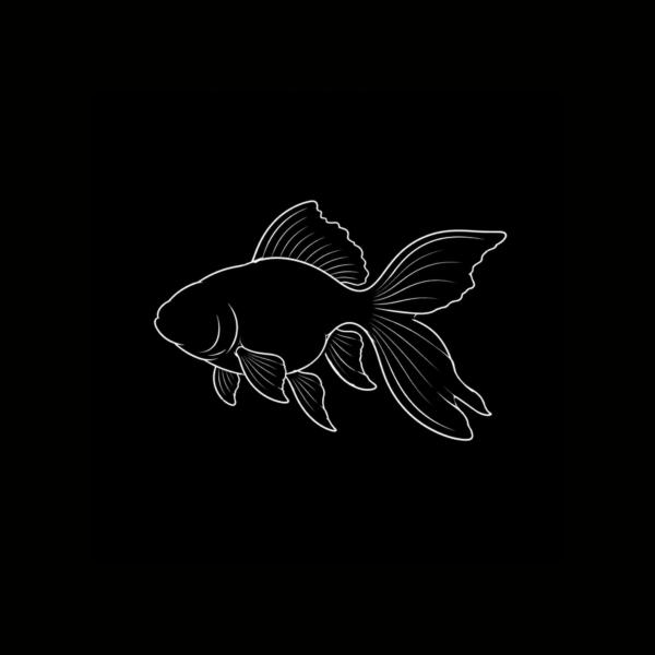 GOLDFISH 7-10CM INTERNACIÓN